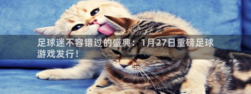 新航娱乐公司扣费流程详解图表