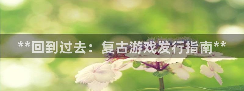 新航娱乐公司旗下艺人都有谁