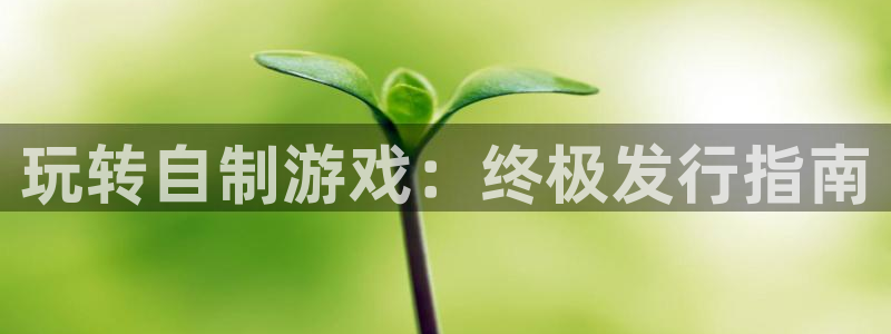 新航娱乐公司扣费流程详解表图片：玩转自制游戏：终极发行指南