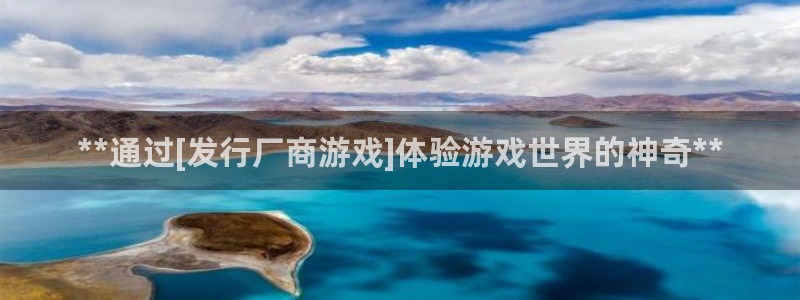新航娱乐公司扣费流程详解表图片：**通过[发行厂商游戏]体验游戏世界的神奇**