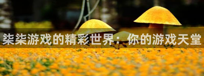新航娱乐公司扣费流程详解图片大全：柒柒游戏的精彩世界：你的游戏天堂
