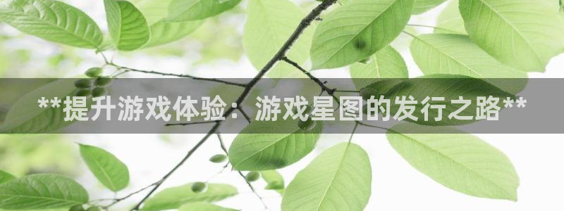 新航娱乐官网最新版本更新内容