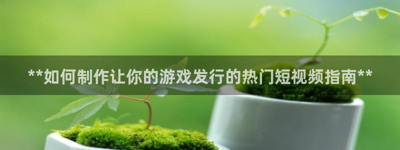 新航娱乐旗下艺人名单：**如何制作让你的游戏发行的热门短视频指南**