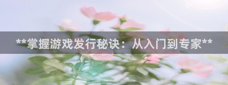 新航娱乐探索无限撼底空间：**掌握游戏发行秘诀：从入门到专家**