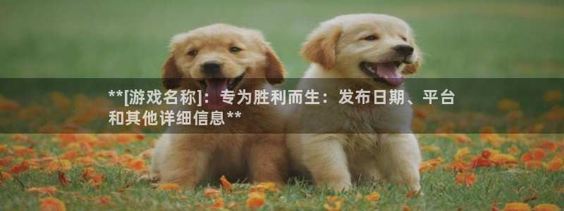 新航娱乐招商碰回复 485624 多少钱：**[游戏名称]：专为胜利而生：发布日期、平台
和其他详细信息**