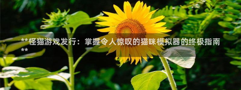 新航娱乐扣款后还能重新扣嘛怎么办