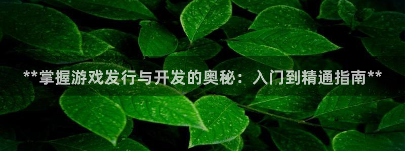 新航娱乐app的最新版本更新内容是什么：**掌握游戏发行与开发的奥秘：入门到精通指南**