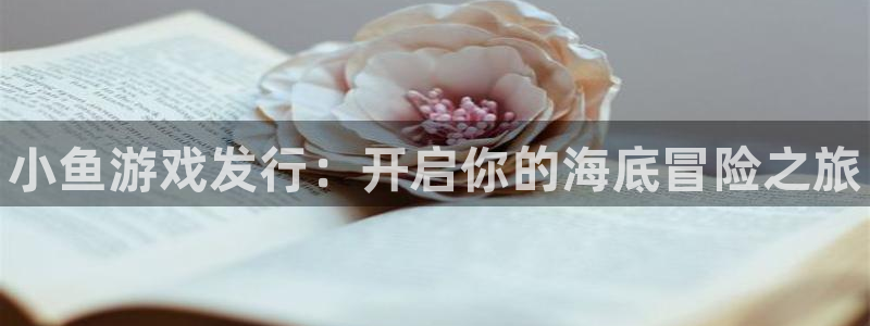新航娱乐扣款后还能重新扣嘛怎么办：小鱼游戏发行：开启你的海底冒险之旅