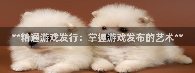 新航娱乐平台登录蒋渭水：**精通游戏发行：掌握游戏发布的艺术**