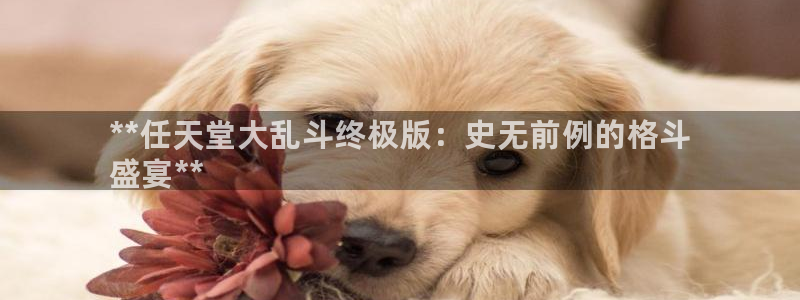 新航娱乐的股东名单和背景介绍是什么：**任天堂大乱斗终极版：史无前例的格斗
盛宴**