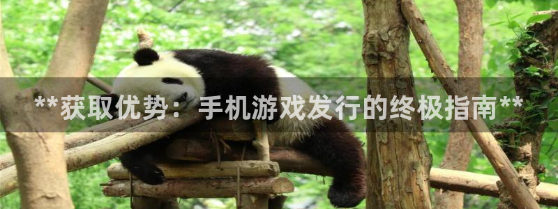 新航娱乐扣款7IIII处罚规定：**获取优势：手机游戏发行的终极指南**