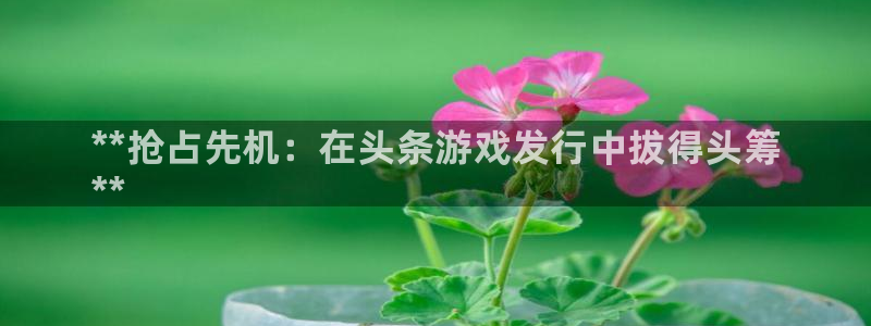 新航娱乐最新消息