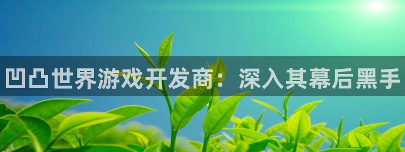 新航娱乐注册平台注册的步骤和注意事项：凹凸世界游戏开发商：深入其幕后黑手