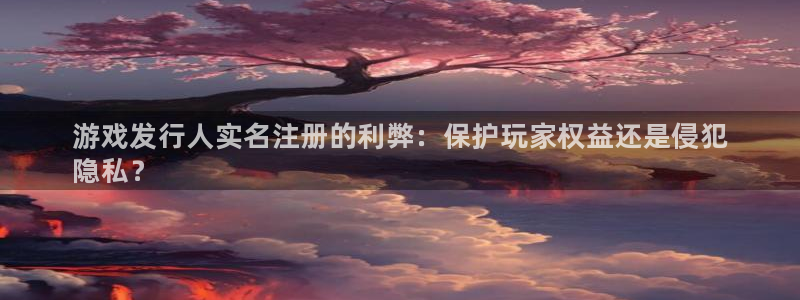 新航娱乐平台最新版本更新内容：游戏发行人实名注册的利弊：保护玩家权益还是侵犯
隐私？