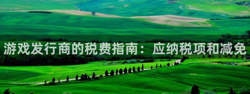 新航娱乐的背景和历史背景是什么：游戏发行商的税费指南：应纳税项和减免