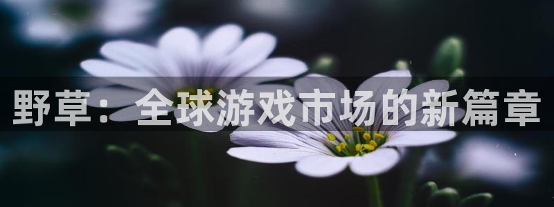 新航娱乐官网最新版本更新内容