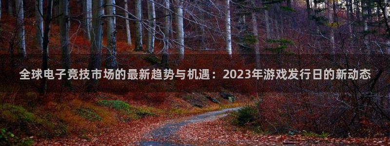 新航娱乐集团最新消息：全球电子竞技市场的最新趋势与机遇：2023年游戏发行日的新动态