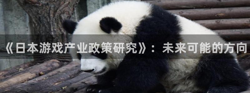 新航娱乐直开.中国手机版安卓版介绍