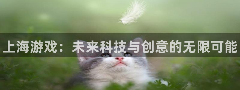 新航娱乐平台app下载：上海游戏：未来科技与创意的无限可能