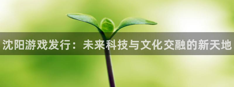 新航娱乐扣款后还能重新扣费吗怎么办