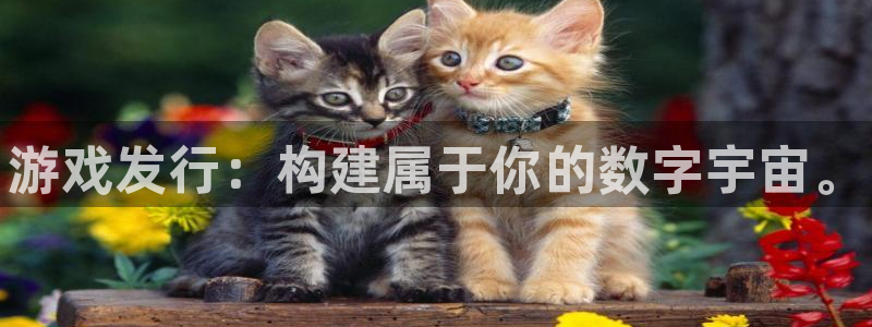 新航娱乐官网下载：游戏发行：构建属于你的数字宇宙。
